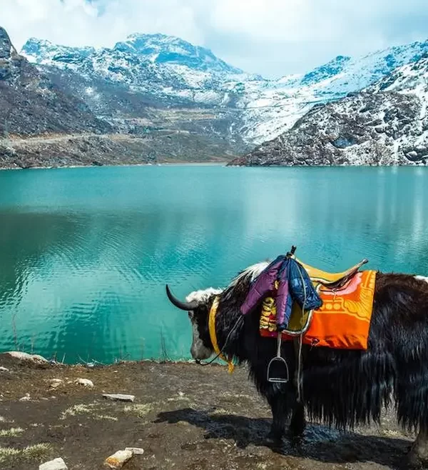Sikkim best time to visitResize1280 x 780